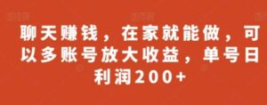 聊天赚钱，在家就能做，可以多账号放大收益，单号日利润200+-大磊资源网
