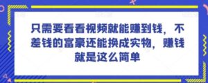 谁做过这么简单的项目？只需要看看视频就能赚到钱，不差钱的富豪还能换成实物，赚钱就是这么简单！【揭秘】-大磊资源网