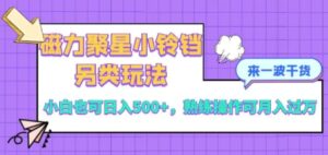 磁力聚星小铃铛另类玩法，小白也可日入500+，熟练操作可月入过万-大磊资源网