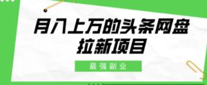 最强副业，月入上万的头条网盘拉新项目，小白新手轻松上手-大磊资源网