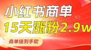 小红书商单最新玩法，新号15天2.9w粉，商单接到手软，1分钟一篇笔记-大磊资源网