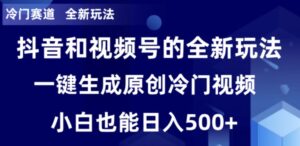 冷门赛道，全新玩法，轻松每日收益500+，单日破万播放，小白也能无脑操作-大磊资源网