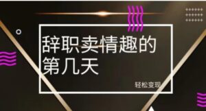 冷门赛道，辞职卖情趣的第几天，超暴力项目-大磊资源网