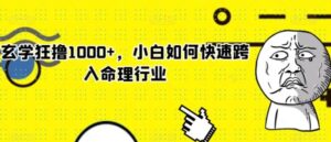 玄学狂撸1000+，小白如何快速跨入命理行业【揭秘】-大磊资源网