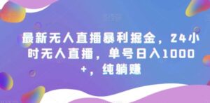 最新无人直播暴利掘金，24小时无人直播，单号日入1000+，纯躺赚-大磊资源网