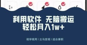 最新蓝海独家玩法，利用软件无脑搬运，小白轻松日入1000＋-大磊资源网