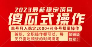 傻瓜式无脑项目单号月入稳定2000+可多号批量操作多多视频搬砖全新玩法-大磊资源网