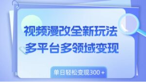 视频漫改全新玩法，多平台多领域变现，小白轻松上手，单日变现300＋-大磊资源网