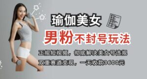 正规短视频引流男粉，解决账号违规风险双赛道变现创新玩法一天收款3600元-大磊资源网