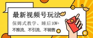 最新视频号玩法，不销售、不引流、不推广，躺着月入1W+，保姆式教学，小白轻松上手【揭秘】-大磊资源网