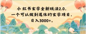 小红书玄学全新玩法2.0，一个可以做到退休的玄学项目，日入3000+【揭秘】-大磊资源网
