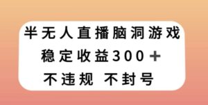 半无人直播脑洞小游戏，每天收入300+，保姆式教学小白轻松上手【揭秘】-大磊资源网