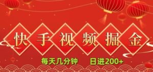 快手短视频流量掘金，一看就会，每天几分钟日入100+-大磊资源网