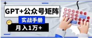 AI流量主系统课程基础版1.0，GPT+公众号矩阵实战手册【揭秘】-大磊资源网