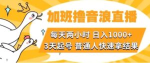 加班撸音浪直播，每天两小时，日入1000+，直播话术才3句，3天起号，普通人快速拿结果【揭秘】-大磊资源网