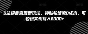 B站项目变现新玩法，神贴私域流0成本，可轻松实现月入6000+【揭秘】-大磊资源网