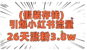 假装存钱，引爆小红书流量，26天涨粉3.8w，作品制作简单，多种变现方式-大磊资源网
