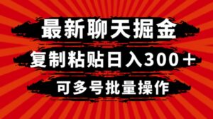 最新聊天掘金，复制粘贴日入300＋，可多号批量操作-大磊资源网