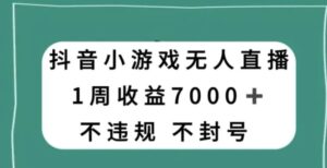 抖音小游戏无人直播，不违规不封号1周收益7000+，官方流量扶持【揭秘】-大磊资源网