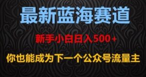 最新蓝海赛道，新手小白日入500+，你也能成为下一个公众号流量主【揭秘】-大磊资源网