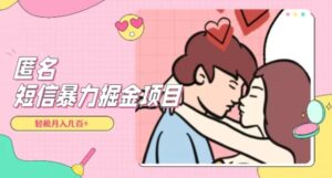 全网首发，揭秘超冷门匿名短信项目，通过信息差日入几百+【揭秘】-大磊资源网
