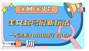 全网，全平台，美女起号最新玩法一天涨粉10000收入500+【揭秘】-大磊资源网