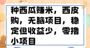 种西瓜赚米，西皮购稳定长久零撸小项目-大磊资源网