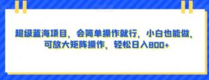 超级蓝海项目，会简单操作就行，小白也能做，可放大矩阵操作，轻松日入800+，-大磊资源网