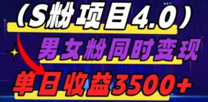S粉项目4.0，男女粉通吃，男女粉同时变现，单日收益3500+-大磊资源网