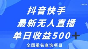 抖音快手最新无人直播变现，全国重名查询项目，日赚500+-大磊资源网