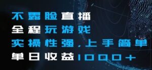 不露脸直播全程玩游戏，实操性强，上手简单，单日收益1000+【揭秘】-大磊资源网