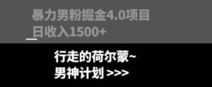 暴力男粉掘金4.0项目不违规不封号无脑复制单人操作日入1000+-大磊资源网
