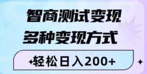 智商测试变现，轻松日入200+，几分钟一个视频，多种变现方式-大磊资源网