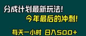 视频号分成计划最新玩法，日入500+，年末最后的冲刺-大磊资源网
