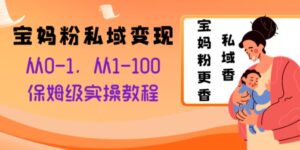 宝妈粉私域变现从0-1，从1-100，保姆级实操教程，长久稳定的变现之法-大磊资源网