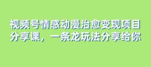 视频号情感动漫治愈变现项目分享课，一条龙玩法分享给你-大磊资源网