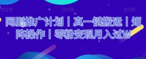 网剧推广计划丨真一键搬运丨矩阵操作丨零粉变现月入过W-大磊资源网