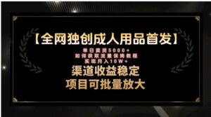 最新全网独创首发，成人用品赛道引流获客，月入10w保姆级教程-大磊资源网
