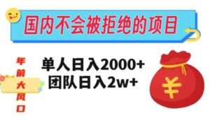 在国内不怕被拒绝的项目，单人日入2000，团队日入20000+【揭秘】-大磊资源网