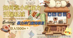 暴力冷门蓝海项目，如何靠小吃秘方引爆私域，日入1300+-大磊资源网