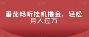 番茄畅听挂机撸金，轻松月入过万-大磊资源网