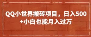 QQ小世界搬砖项目，日入500+小白也能月入过万【揭秘】-大磊资源网