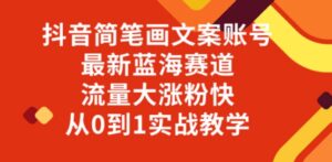 抖音简笔画文案账号，最新蓝海赛道，流量大涨粉快，从0到1实战教学-大磊资源网