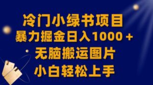 【全网首发】冷门小绿书暴力掘金日入1000＋，无脑搬运图片小白轻松上手-大磊资源网