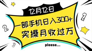 一部手机日入300+，实操轻松月入过万，新手秒懂上手无难点-大磊资源网