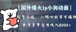 全网爆火动画ip，多平台捞金，单号月收入8k+！可批量操作。-大磊资源网