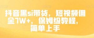 抖音黑si带货，短视频佣金7W+，保姆级教程，简单上手【揭秘】-大磊资源网