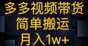 多多视频带货，简单搬运月入1w+-大磊资源网