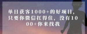单日获客1000+的好项目，只要你微信扛得住，没有1000+你来找我【揭秘】-大磊资源网