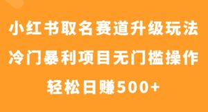小红书取名赛道升级玩法，冷门暴利项目无门槛操作，轻松日赚500+-大磊资源网